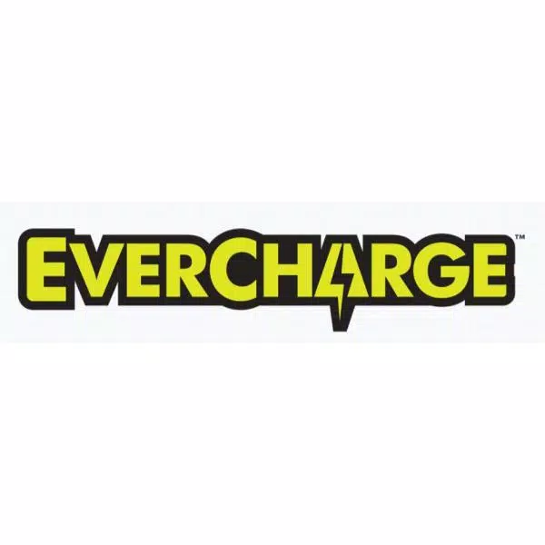 RYOBI 18V ONE+ 2 Amp Fast EVERCHARGE Charger for P7181 and P724 Stick Vacs