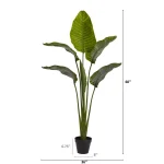 Nearly Natural 63 in. UV Resistant Indoor/Outdoor Artificial Travelers Palm Tree with Black Pot thumbnail 3