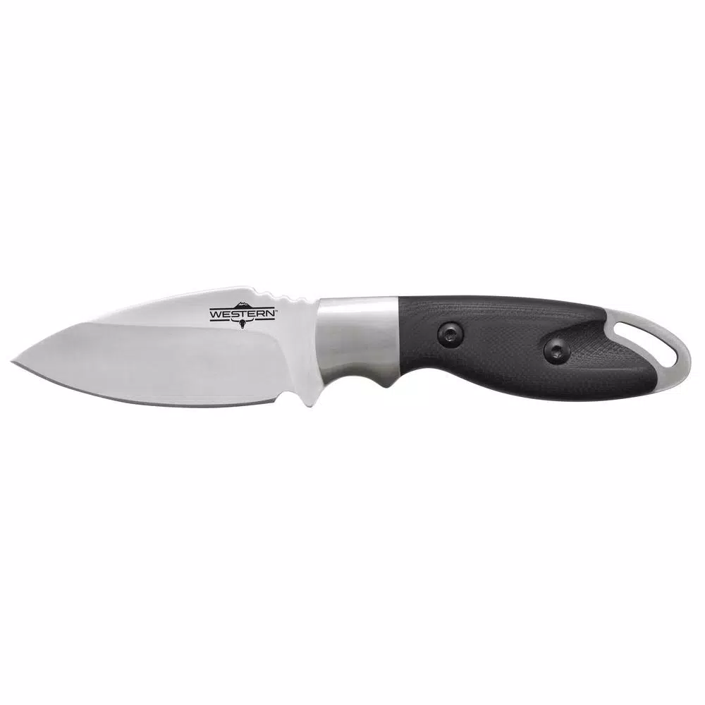 Western Kota 7 in. Titanium Bonded Drop Point Fixed Blade Knife with G10 Handle and Sheath