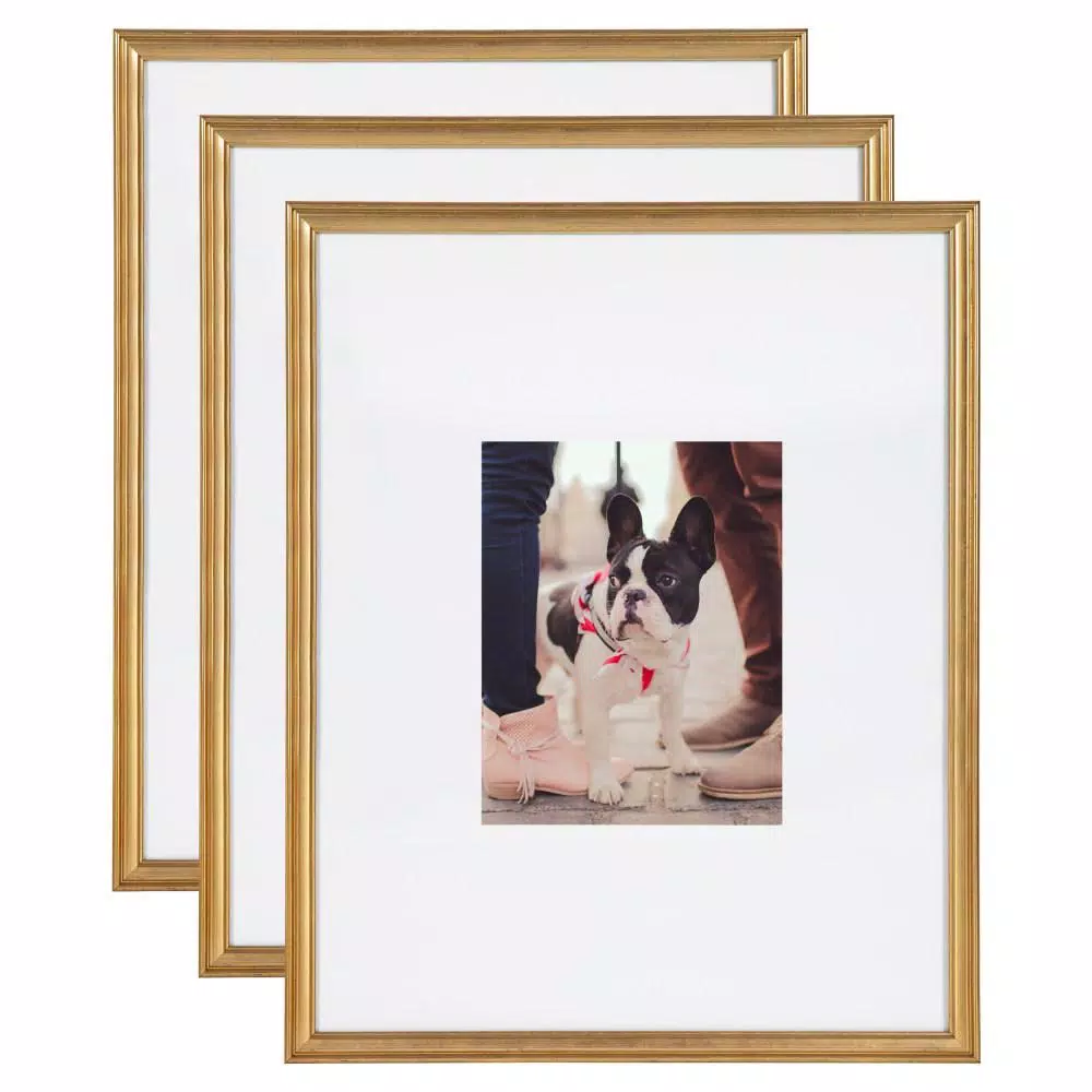 Kate and Laurel Adlynn Gold Picture Frame Set, 16 x 20 in. and 8 x 10 in. with Mats, Set of 3