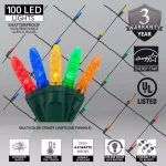Wintergreen Lighting 48 in. x 72 in. 100-Light M5 Multi-Color LED Net Light Set thumbnail 3