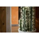 Nearly Natural Decorative Tall Cactus Collection with Modern Cement Planter and White River Rocks thumbnail 3