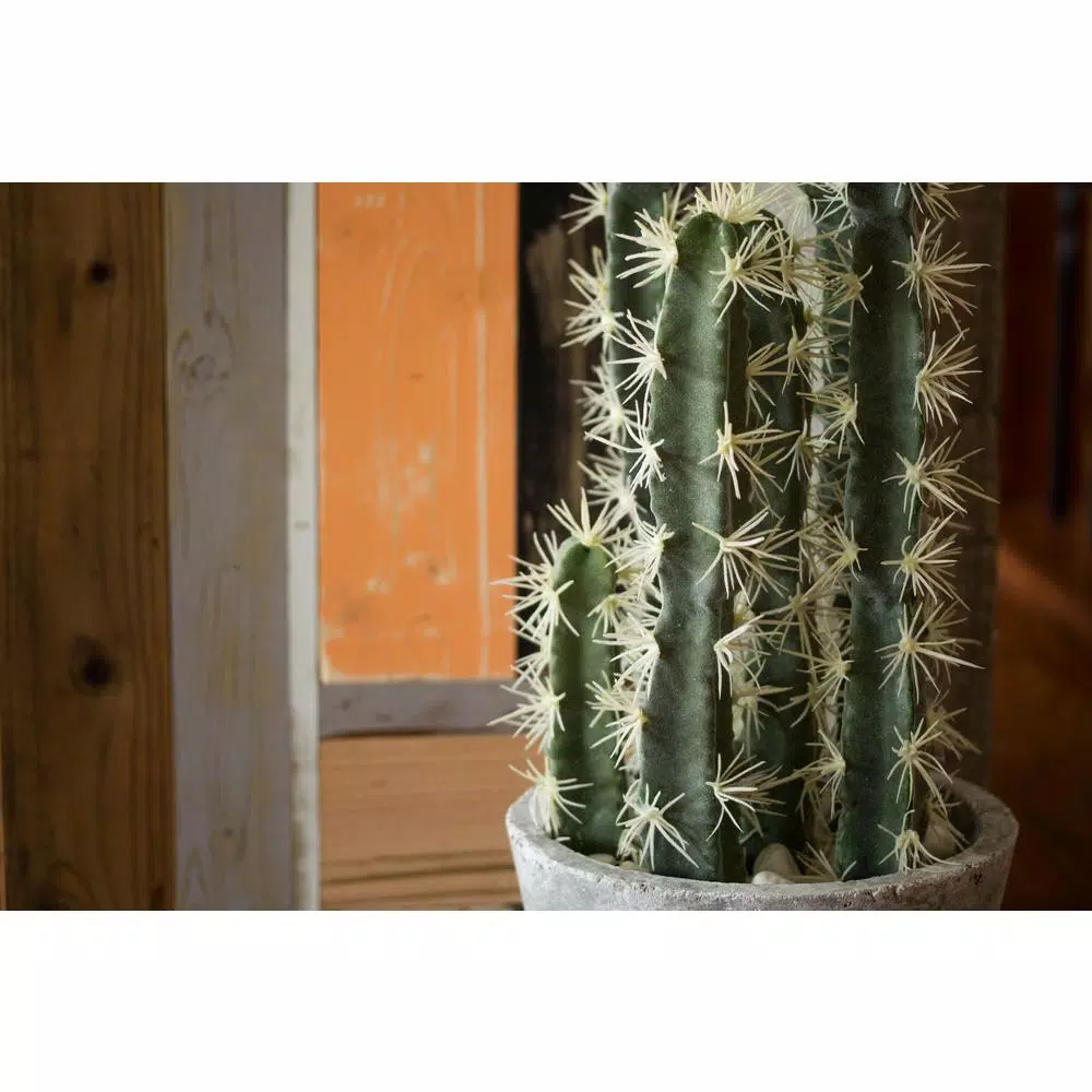 Nearly Natural Decorative Tall Cactus Collection with Modern Cement Planter and White River Rocks