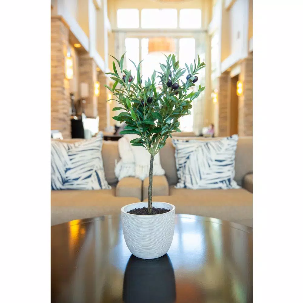 Flora Bunda 28 in. Faux Olive Tree in Gray Cement Pot
