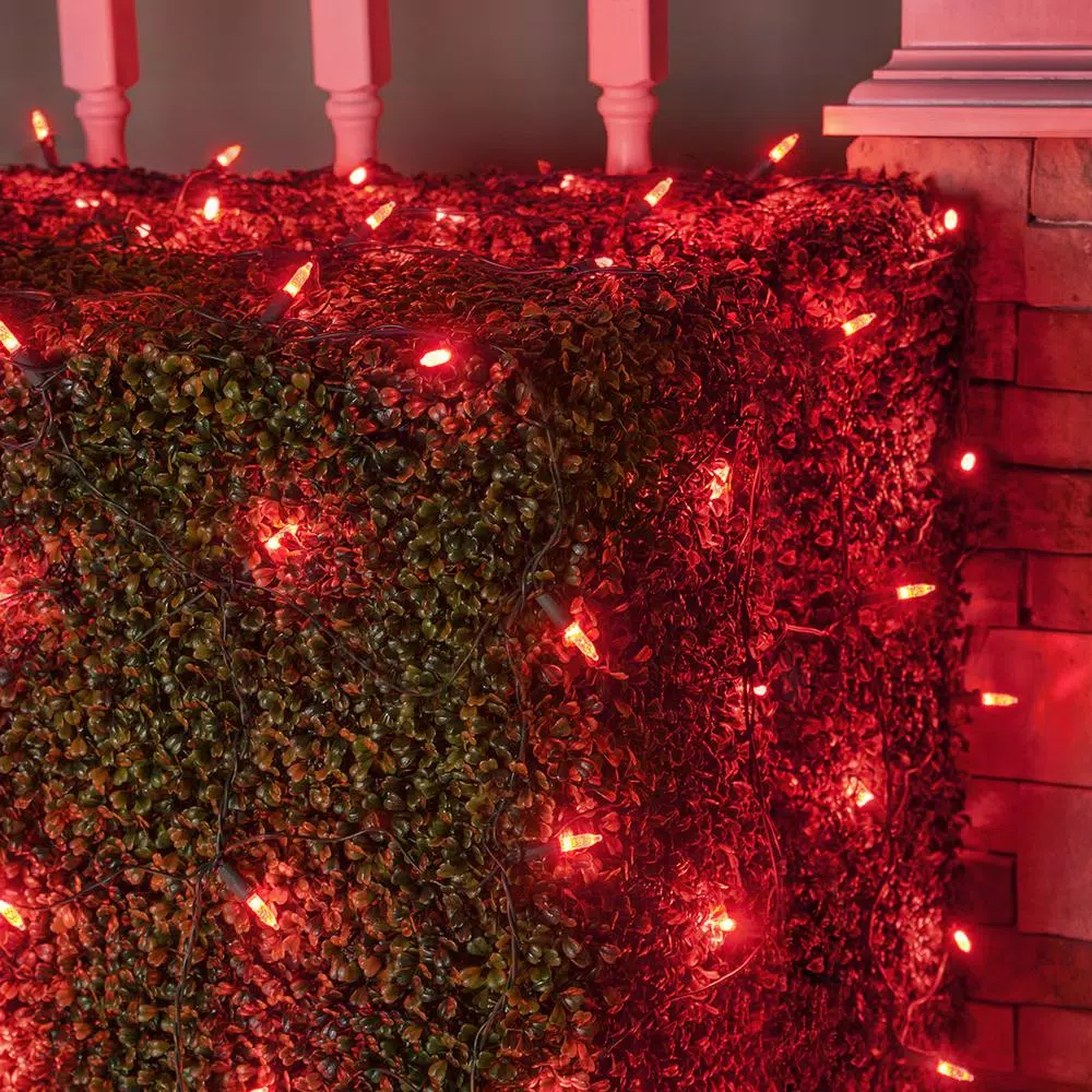 Wintergreen Lighting 48 in. x 72 in. 100-Light M5 Red LED Net Light Set