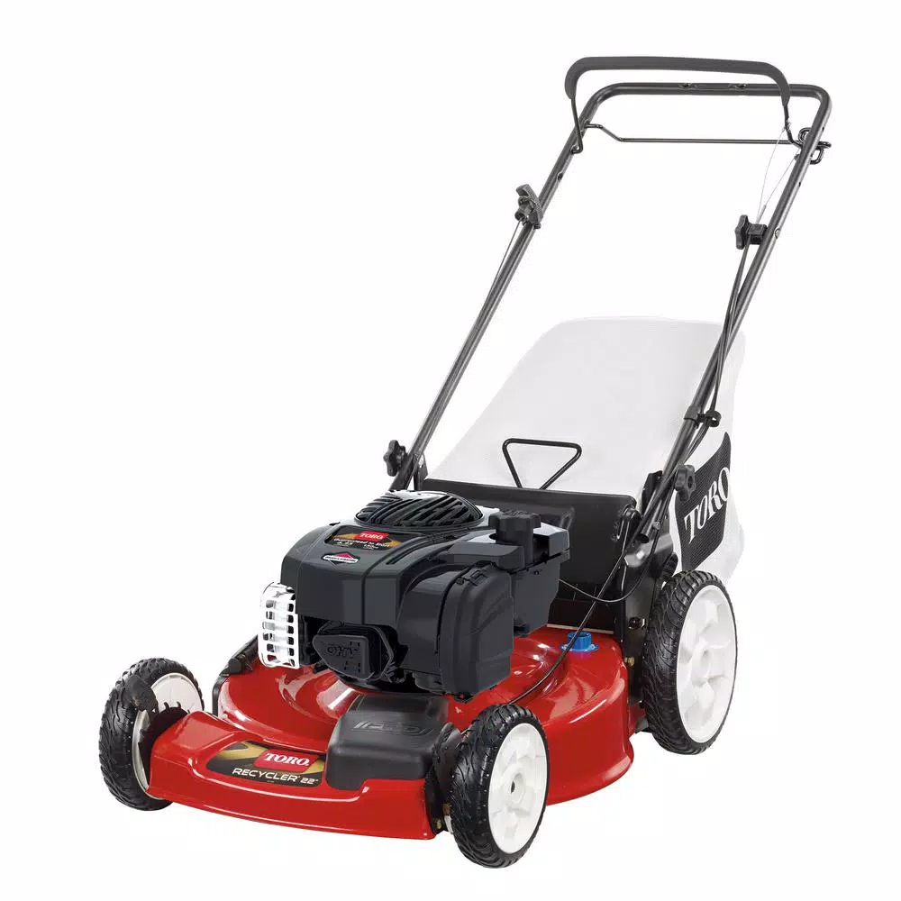 Toro Recycler 22 in. Self-Propelled Gas Lawn Mower with Briggs & Stratton Engine and Bagger