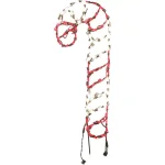 Fraser Hill Farm 3 ft. LED Red and White Candy Cane Novelty Outdoor Christmas Light thumbnail 1