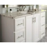 Delta Everly 24 in. Towel Bar in SpotShield Brushed Nickel thumbnail 13