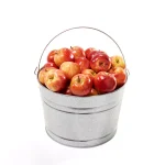 Behrens 4.25 Gal. Galvanized Steel Pail, Heavy Duty Round Metal Bucket thumbnail 2