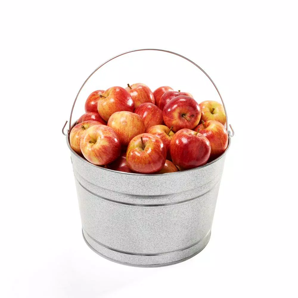 Behrens 4.25 Gal. Galvanized Steel Pail, Heavy Duty Round Metal Bucket