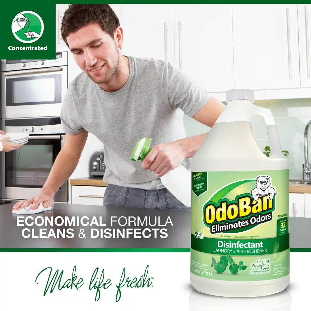 OdoBan Eucalyptus Laundry and Air Freshener, Mold and Mildew Control Disinfectant Concentrate (Case of 4, 1 Gal Each)