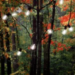 LUMABASE 25 LED White Globe String Lights with Warm Filament Bulbs, 25 ft. Weather Resistant Outdoor/Indoor Decor thumbnail 4