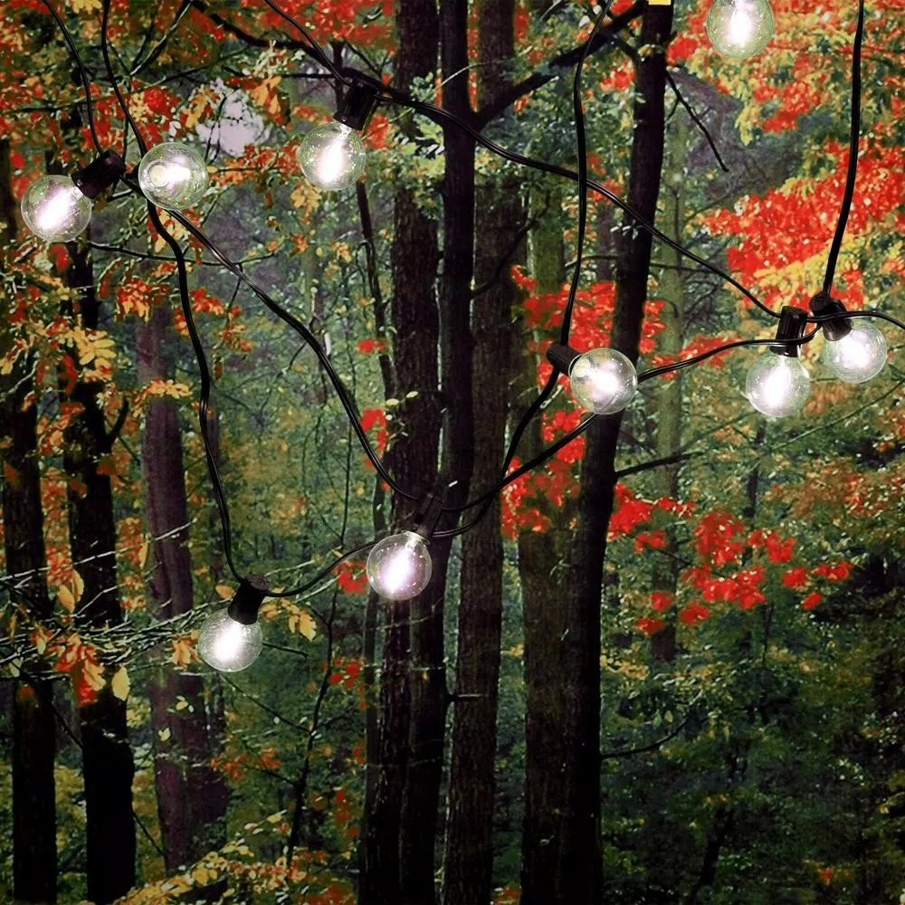LUMABASE 25 LED White Globe String Lights with Warm Filament Bulbs, 25 ft. Weather Resistant Outdoor/Indoor Decor