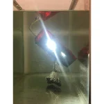 MaxxHaul 12V LED Submersible Rectangular Trailer Light Kit with All-Copper Wiring Harness thumbnail 8