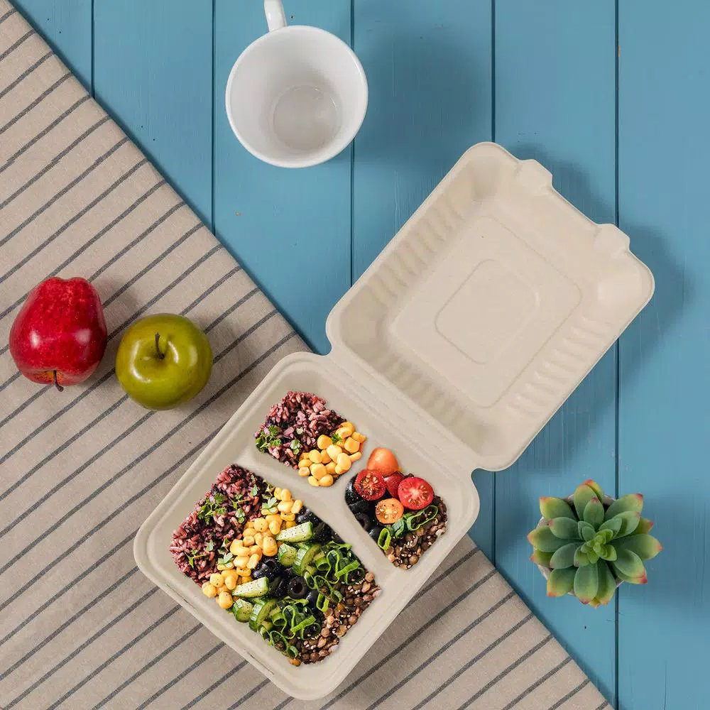 Unbranded 8 in. Natural Sugarcane 3-Compartment Sectional Clamshell Containers, 300 Pack