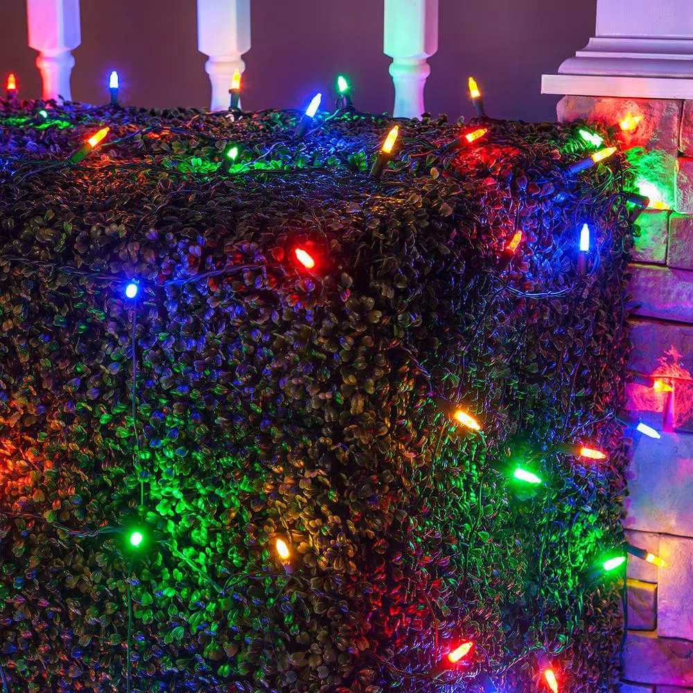Wintergreen Lighting 48 in. x 72 in. 100-Light M5 Multi-Color LED Net Light Set