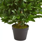 Nearly Natural 3 ft. Artificial Bay Leaf Topiary Tree, UV-Resistant Indoor/Outdoor Greenery thumbnail 3