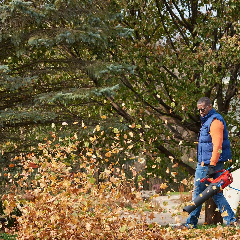 Toro PowerJet F700 12 Amp Electric Handheld Leaf Blower, 725 CFM, 140 MPH