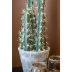 Nearly Natural Decorative Tall Cactus Collection with Modern Cement Planter and White River Rocks thumbnail 4