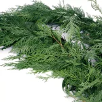 VAN ZYVERDEN 15 ft. Fresh Cut Pacific Northwest Western Red Cedar Coil Garland thumbnail 3