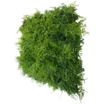 Greensmart Decor Artificial Maya Wall Panels, 20 in. x 20 in. (Set of 4) thumbnail 6