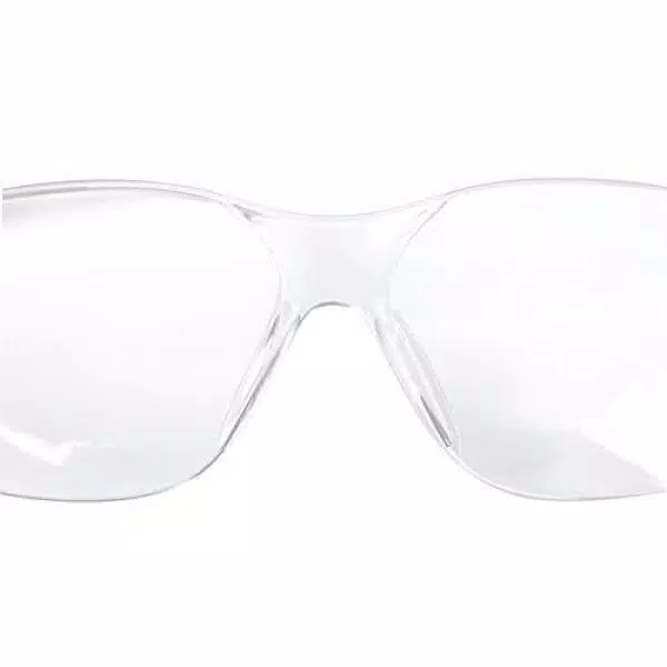 Bison Life Clear Lens Safety Glasses, Polycarbonate Scratch-Resistant Eyewear (Pack of 12)