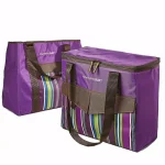 Rachael Ray ChillOut 2 Go Purple Deluxe Thermal Tote Set of 2 - Insulated Cooler & Dry Storage Bags thumbnail 1
