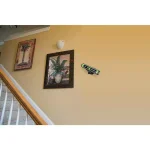 PowerSmith Torpedo Laser Level and Pointer with Magnetic Base and Wall Mount thumbnail 3