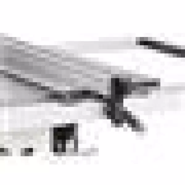 Shop Fox 10 in. 2 HP Open-Stand Hybrid Table Saw with Cabinet-Mounted Trunnions
