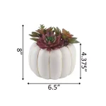 Flora Bunda 8 in. Fall Harvest Artificial Succulent Arrangement in Cream Pumpkin Pot with Gold Accents thumbnail 2