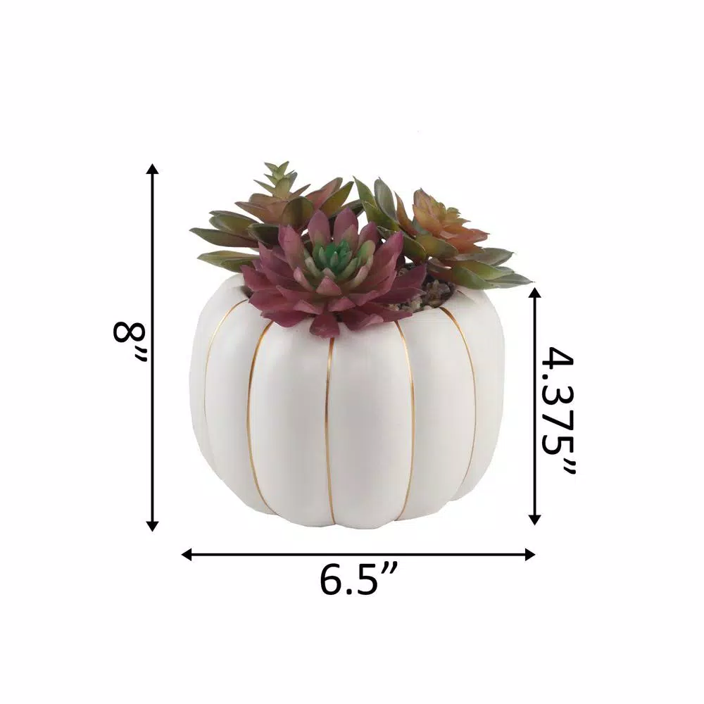 Flora Bunda 8 in. Fall Harvest Artificial Succulent Arrangement in Cream Pumpkin Pot with Gold Accents