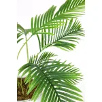 Vintage Home 50 in. Real Touch Artificial Palm Tree in Black Fiberstone Planter thumbnail 2