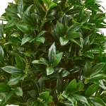 Nearly Natural 39-In. Bay Leaf Cone Topiary Artificial Tree with Terra Cotta Planter thumbnail 2