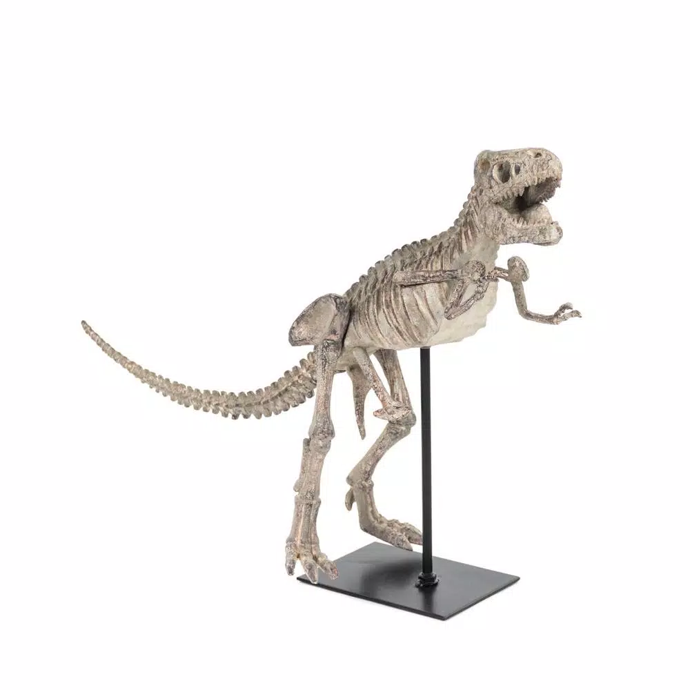 Zentique Distressed Brown and Grey Tyrannosaurus Rex Skeleton Statuette with Metal Base
