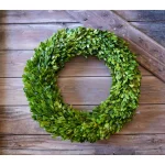 Unbranded 20 in. Preserved Boxwood Country Manor Round Wreath, Green thumbnail 1
