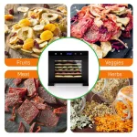 NutriChef 6-Tray Food Dehydrator Machine, 600W with Digital Timer and Temperature Control, Black thumbnail 3