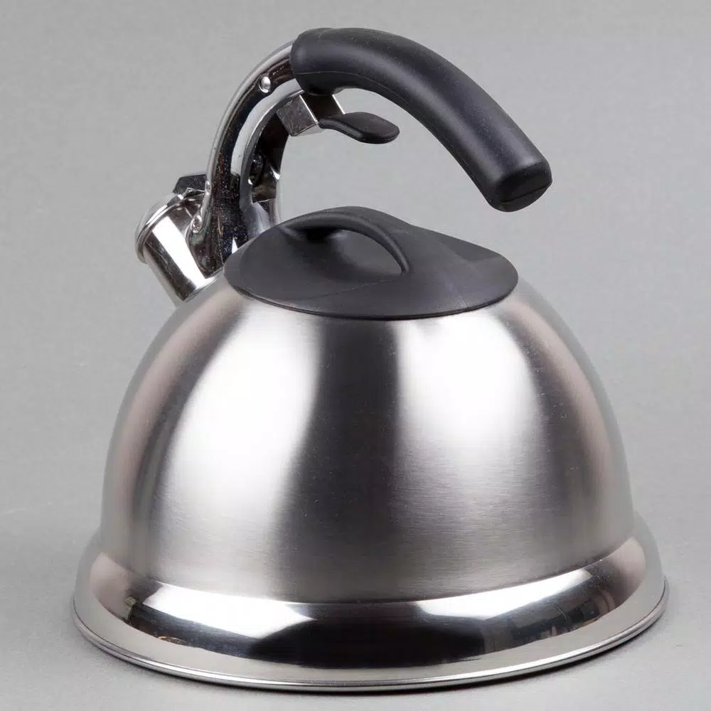Creative Home Avalon 12-Cup Stainless Steel Whistling Tea Kettle with Lever Pour System, Silver