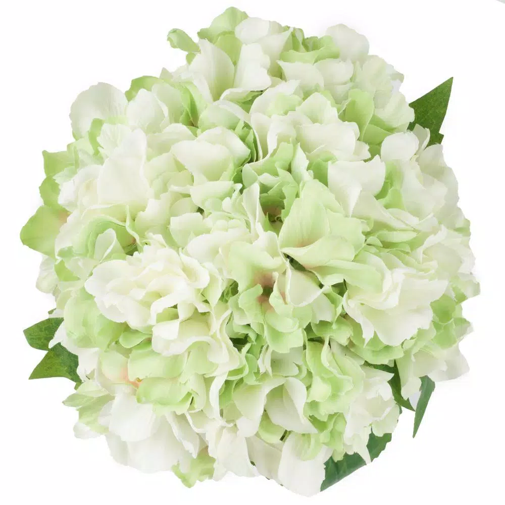 Pure Garden 9 in. Green Hydrangea Floral Arrangement in Glass Vase