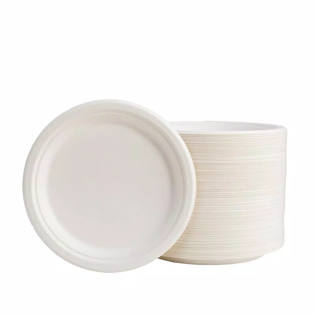 Unbranded 9 in. White Sugarcane Plates, Eco-Friendly & Compostable (300 Pack)
