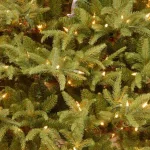 National Tree Company 6 ft. Frasier Grande Artificial Christmas Tree with 800 Dual Color LED Lights thumbnail 4