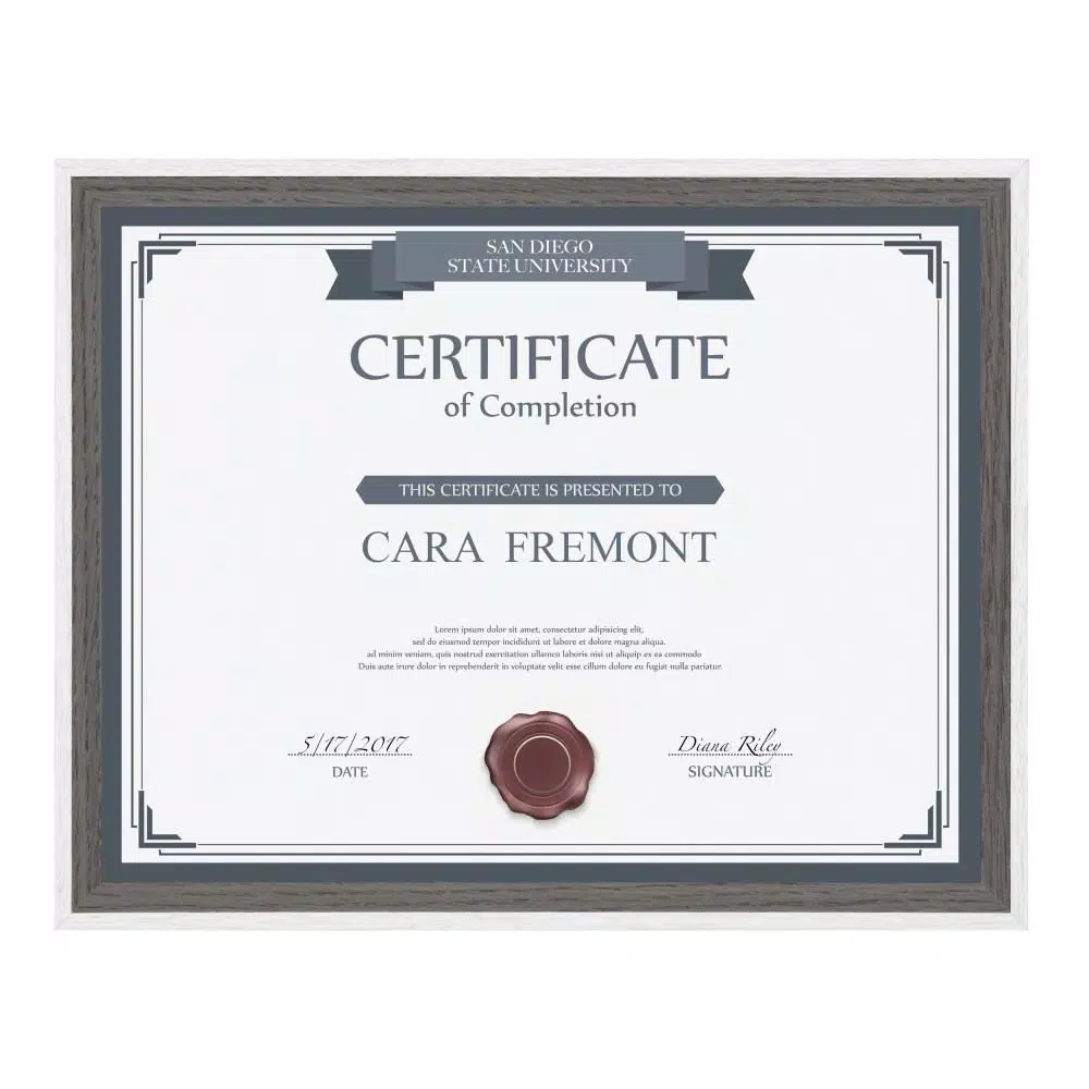 Kate and Laurel Gibson 8.5 x 11 in. Modern Document Picture Frame Set, Gray and White, 4-Pack