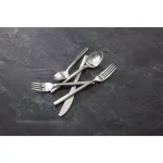 Fortessa Arezzo 5-Piece 18/10 Stainless Steel Brushed Flatware Place Setting thumbnail 2