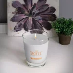 ROOT CANDLES A.I. Root Veriglass Tobacco Vanilla Scented Soy and Beeswax Jar Candle thumbnail 1