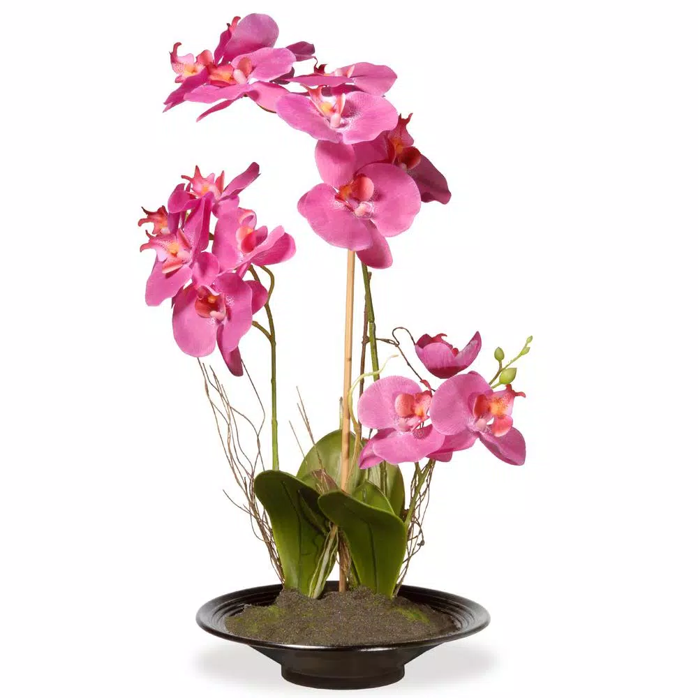 National Tree Company 17.32 in. Pink Silk Orchid Floral Arrangement in Black Ceramic Pot