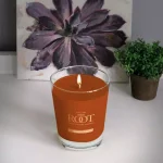 ROOT CANDLES Veriglass Cinnamon Spice Scented Soy and Beeswax Jar Candle thumbnail 1