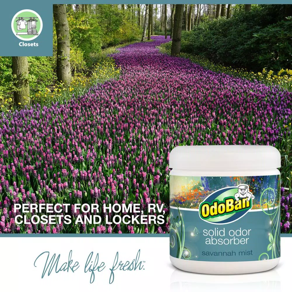 OdoBan Savannah Mist Solid Odor Absorber Gel, 14 oz.