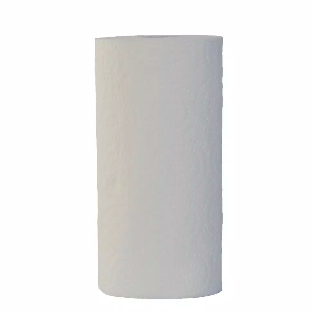HDX 2-Ply Paper Towels, Ultra Absorbent, Adjust-A-Size, 12 Rolls