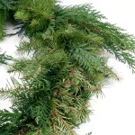 VAN ZYVERDEN 10 ft. Fresh Cut Pacific Northwest Douglas Fir and Western Red Cedar Mix Coil Garland thumbnail 4