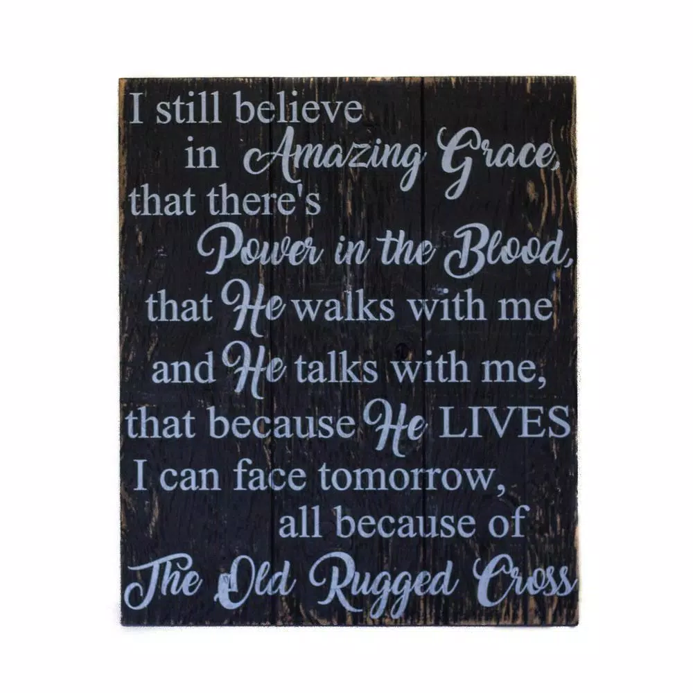 Unbranded Boulder Innovations "I Still Believe In Amazing Grace" 16 x 19 in. Printed Wood Wall Art Sign