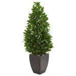 Nearly Natural 56-In. Bay Leaf Cone Topiary Artificial Tree with Black Planter, UV-Resistant Indoor/Outdoor thumbnail 1